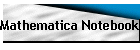 Mathematica Notebooks